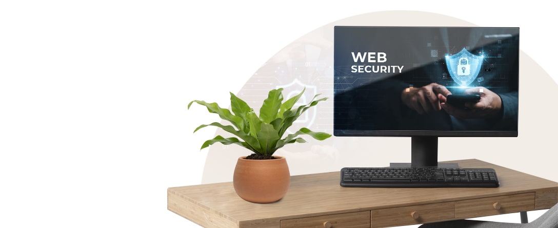 web security services in dubai